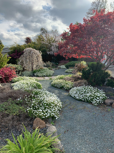 Stevens Landscape Design & Development — Gardener in Danville, CA