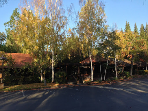 Sycamore Valley Chiropractic — Chiropractor in Danville, CA