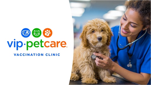 VIP Petcare Vaccination Clinic — Veterinarian in Danville, CA