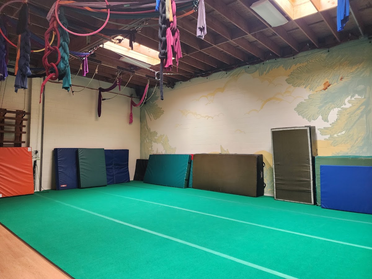 Athletic Playground — Gym in Emeryville, CA (photo 3 of 3)