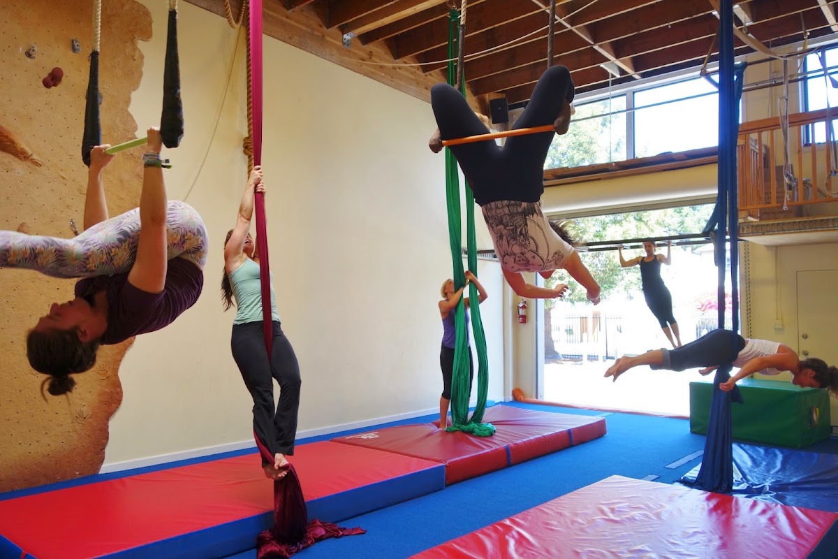 Athletic Playground — Gym in Emeryville, CA (photo 2 of 3)