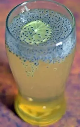 Nannari Sarbath at Dosa Hut