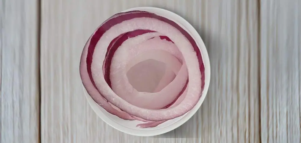 Side of ONIONS at Ike's Love & Sandwiches
