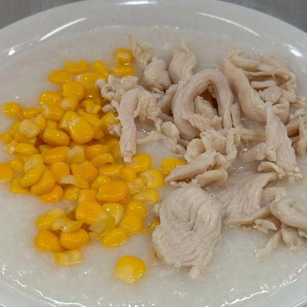 Chicken Congee-鸡肉粥 at Kung Fu Dim Sum