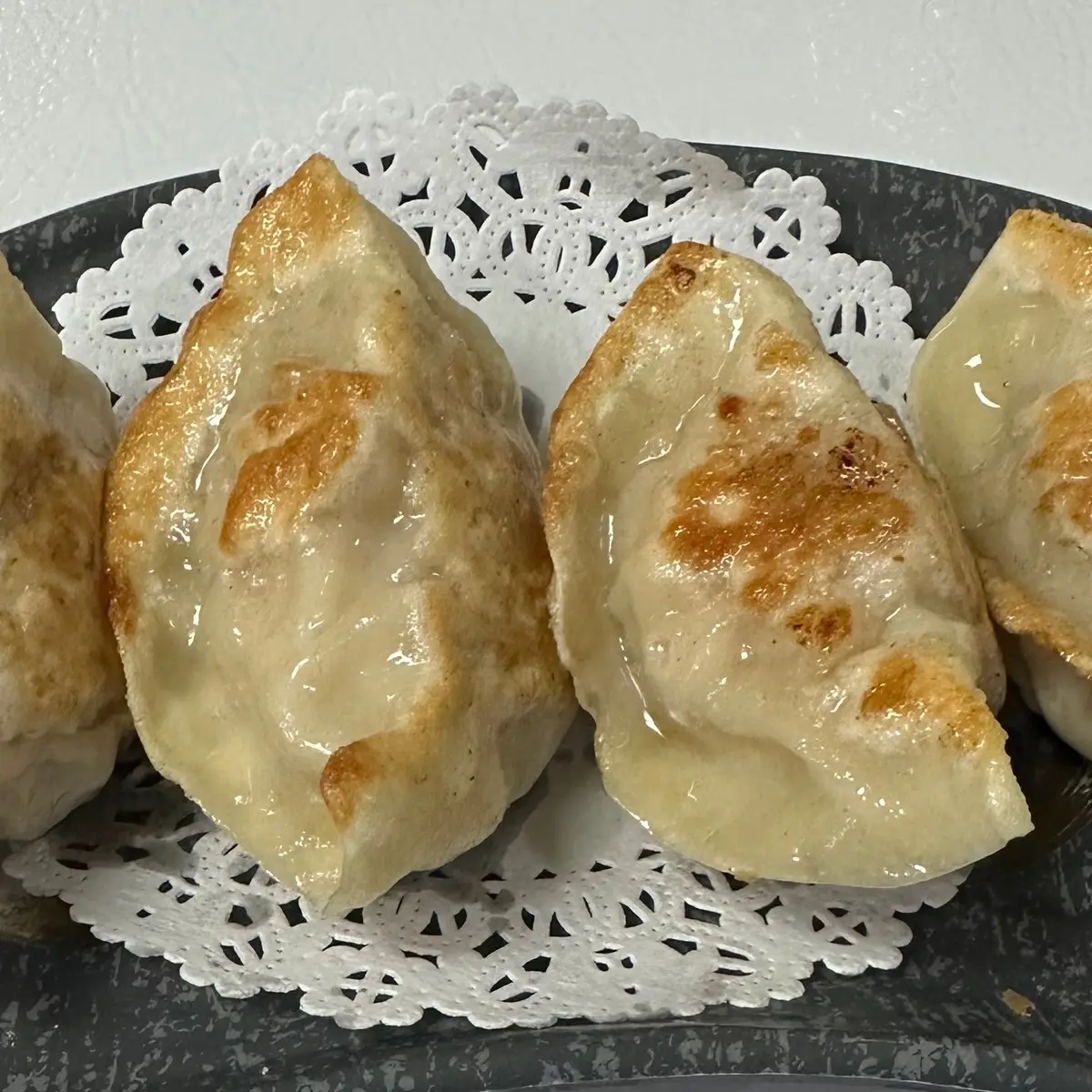 Pork Potstickers-猪肉窝贴 at Kung Fu Dim Sum