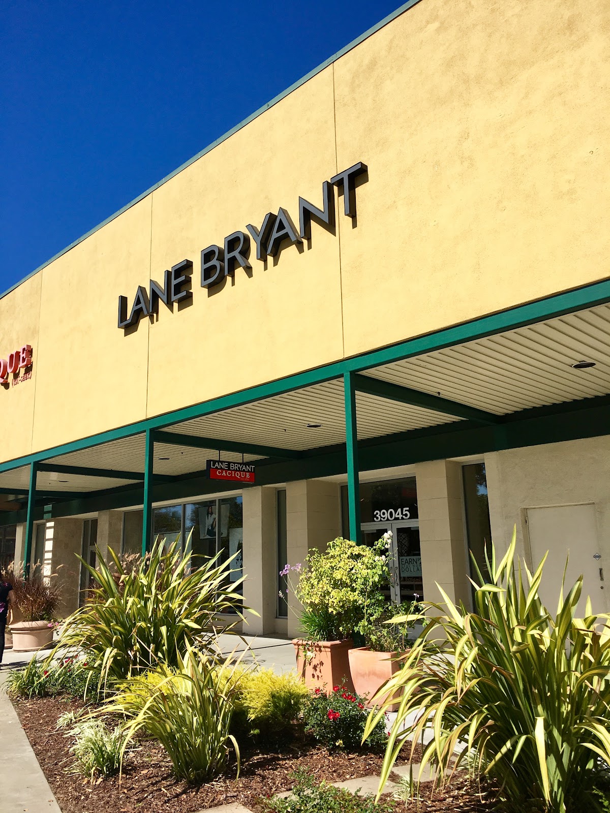 Lane Bryant — Clothing Store in Fremont, CA