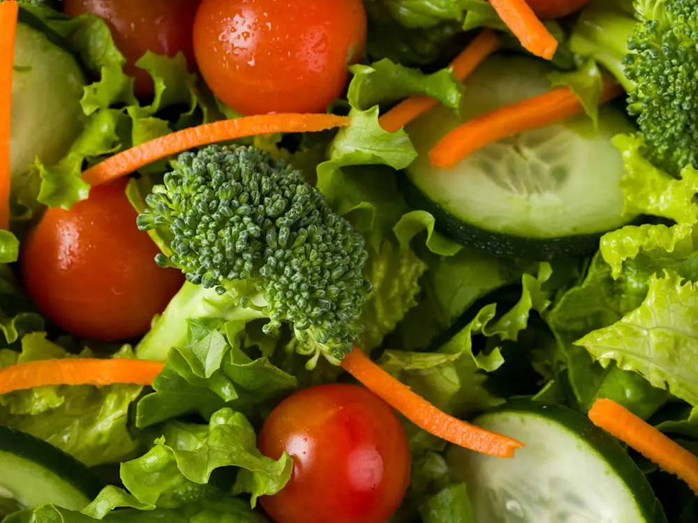 Garden Salad at Mountain Mike's Pizza