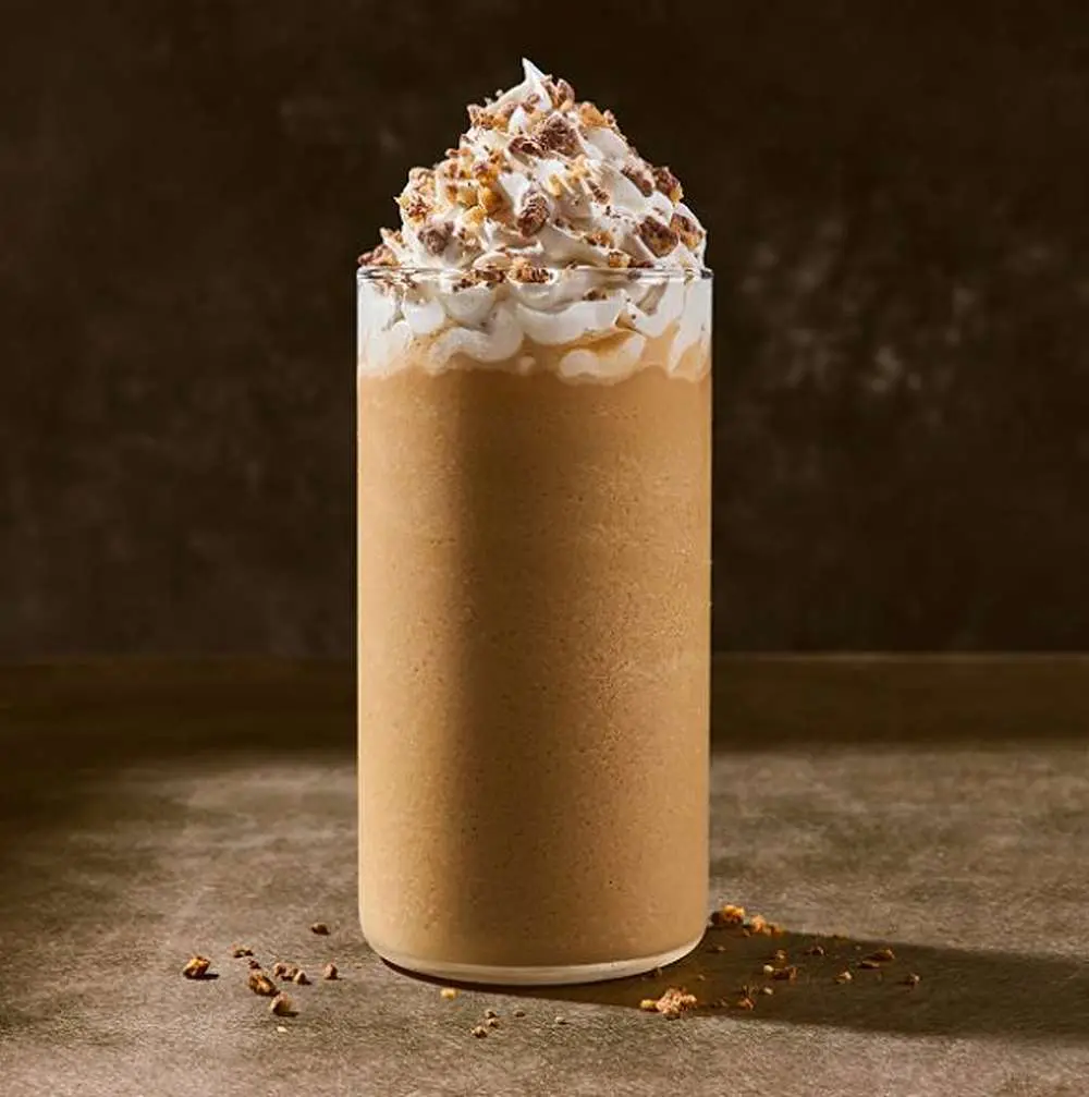 NEW Hazelnut Mocha Frozen Java at Panera Bread