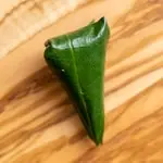 Menakshi Paan at Panwaari Paan Shop