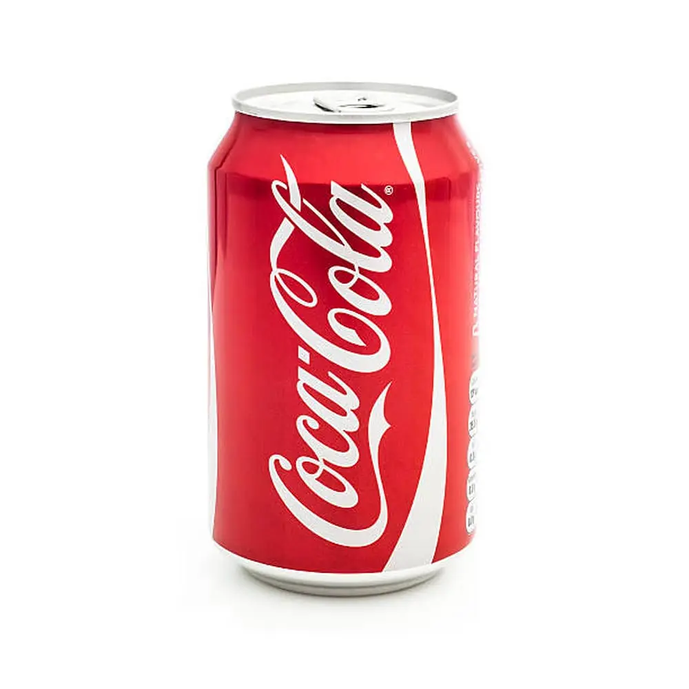 Coca-Cola Can 12 fl oz at PAV BHAJI HUT