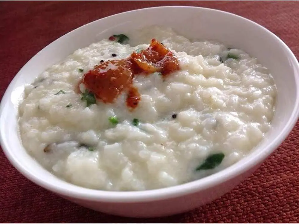 Curd rice (yogurt) 12oz at Rameshwaram Cafe | Fremont