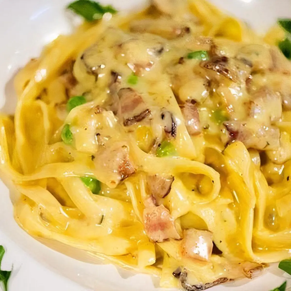 FETTUCCINE CON POLLO at Ristorante IL Porcino