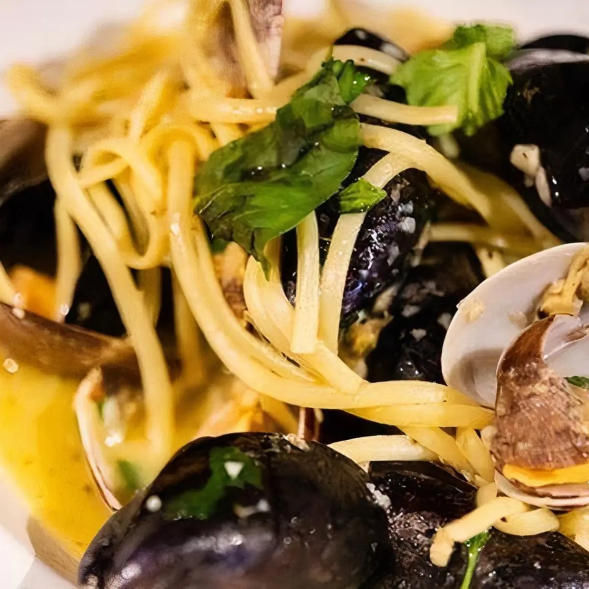LINGUINE ALLE VONGOLE O COZZE at Ristorante IL Porcino