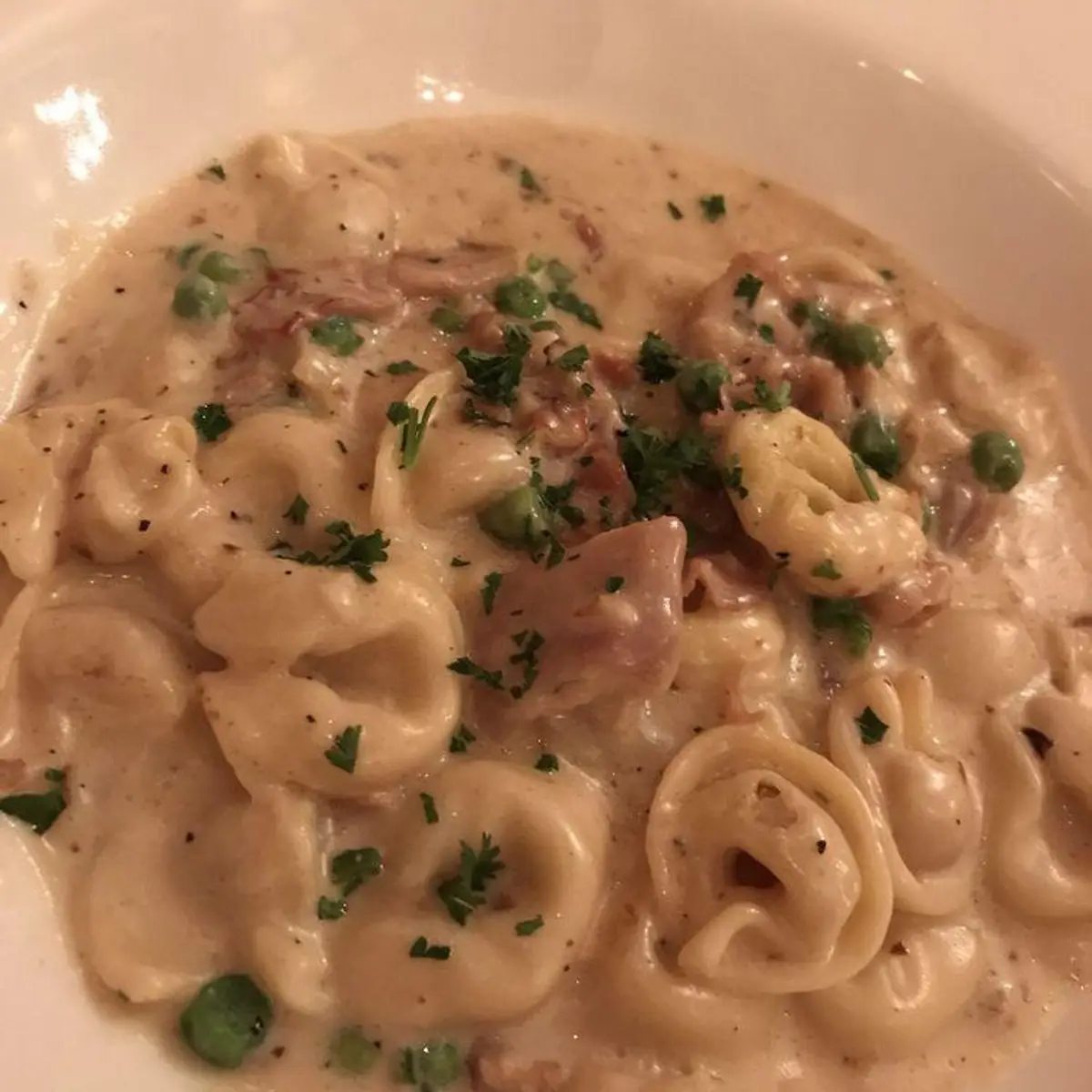 TORTELLINI DEL CHEF at Ristorante IL Porcino