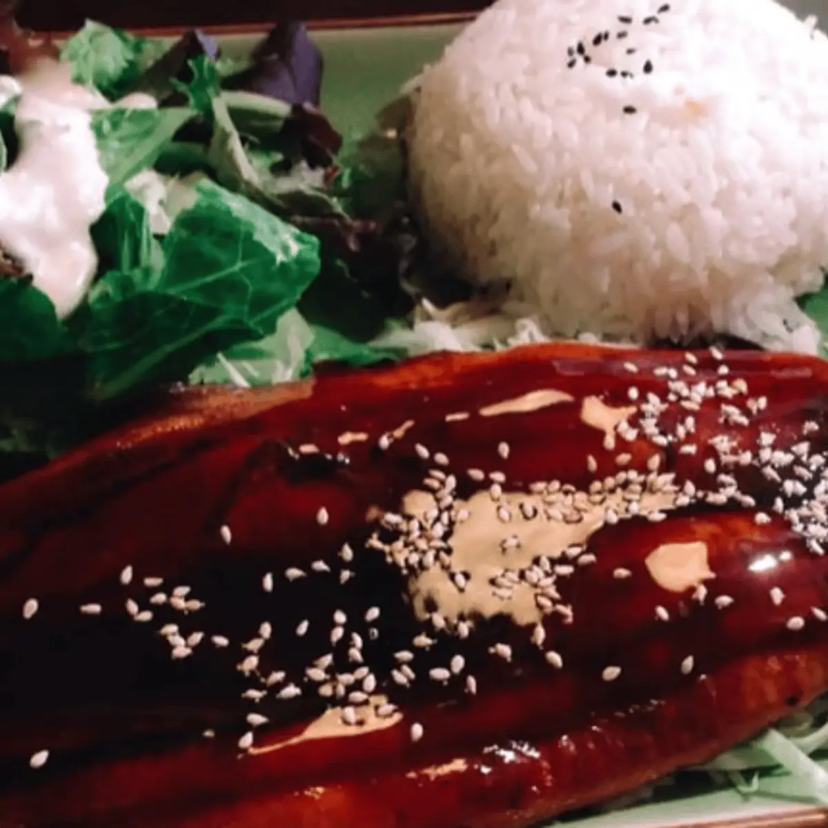 Unagi Kabayaki at Satomi Sushi