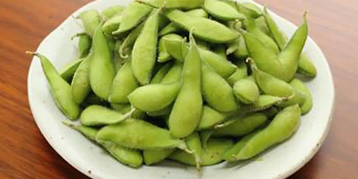 Edamame at Shugetsu -Fremont