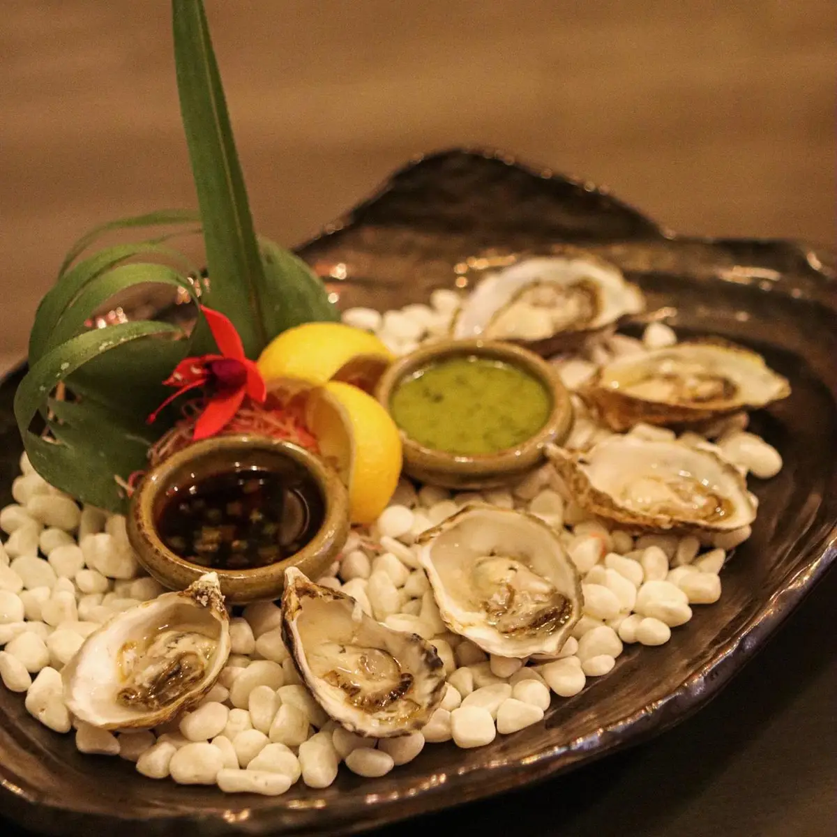 Oyster (6pc) at SOHO Modern Japanese