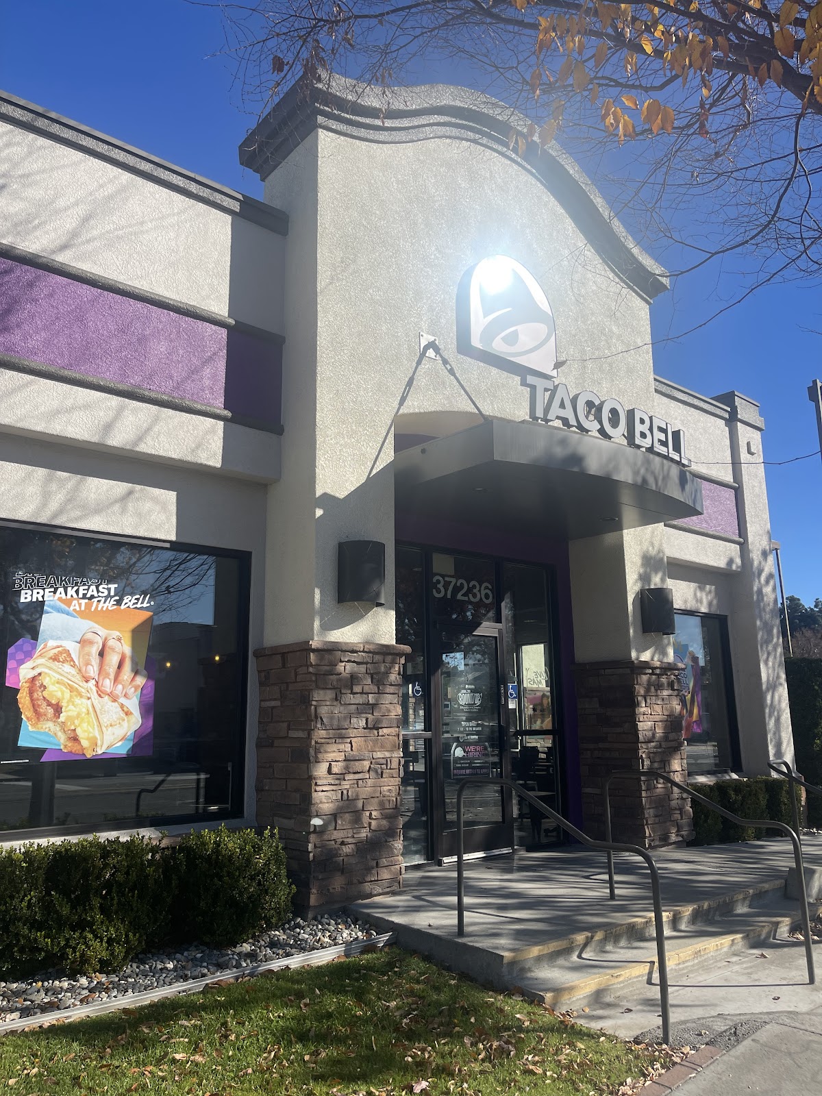 Taco Bell — Fast Food Restaurant in Fremont, CA