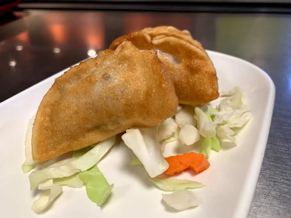 Handmade Pot Stickers at Teo Chow Noodle Shack