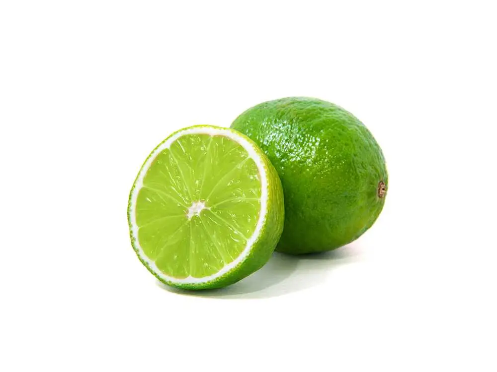 Side Lime Slices at Thornton Pure Water & Ice Cream
