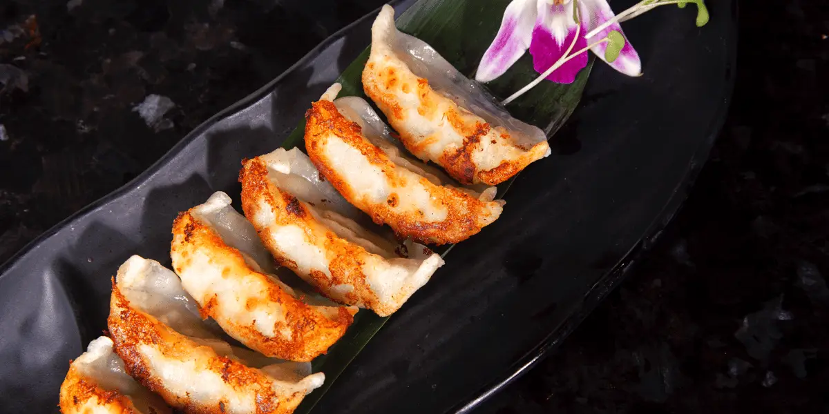 Gyoza (Pork) at Toro Sushi Stone Grill & Bar