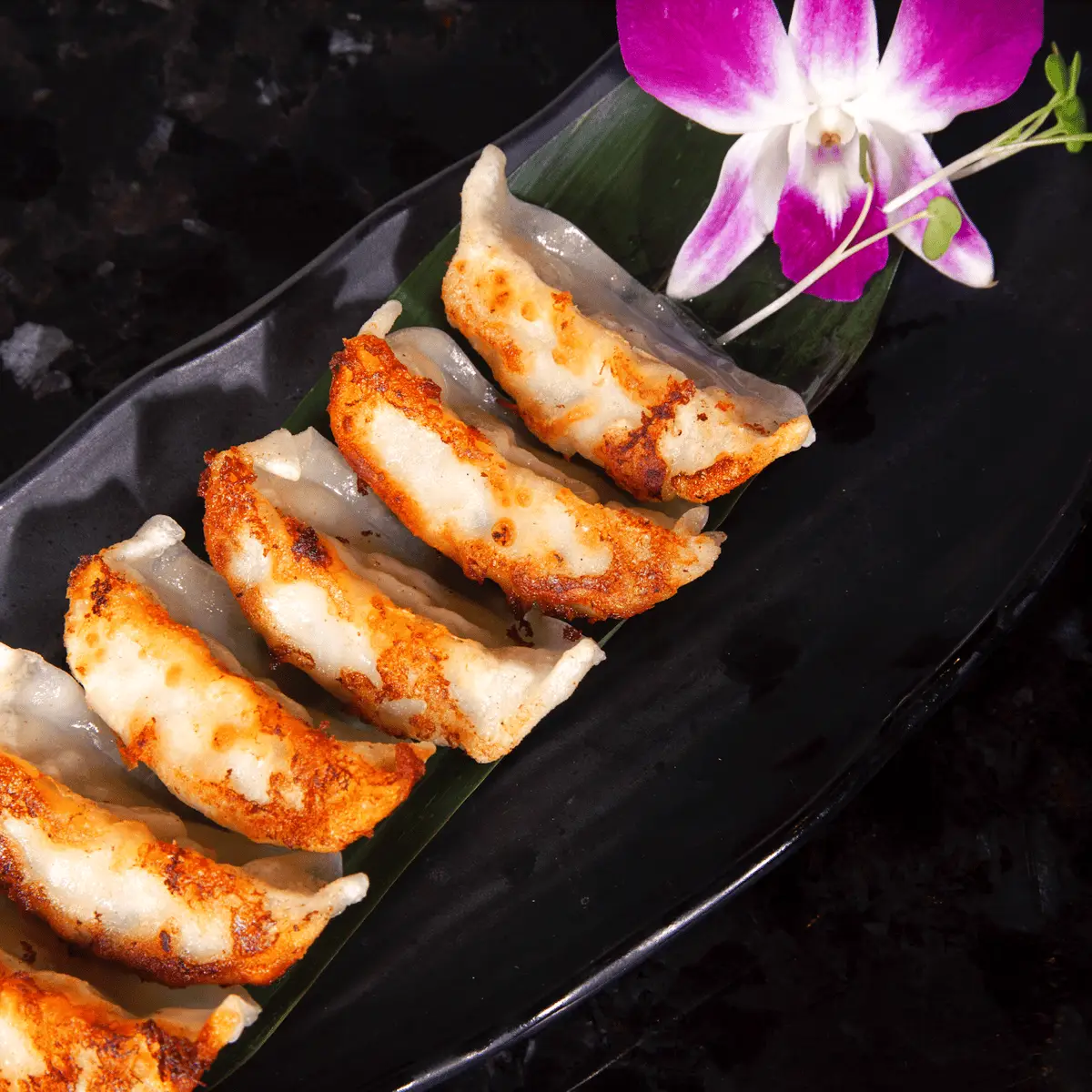 Veggie Gyoza at Toro Sushi Stone Grill & Bar