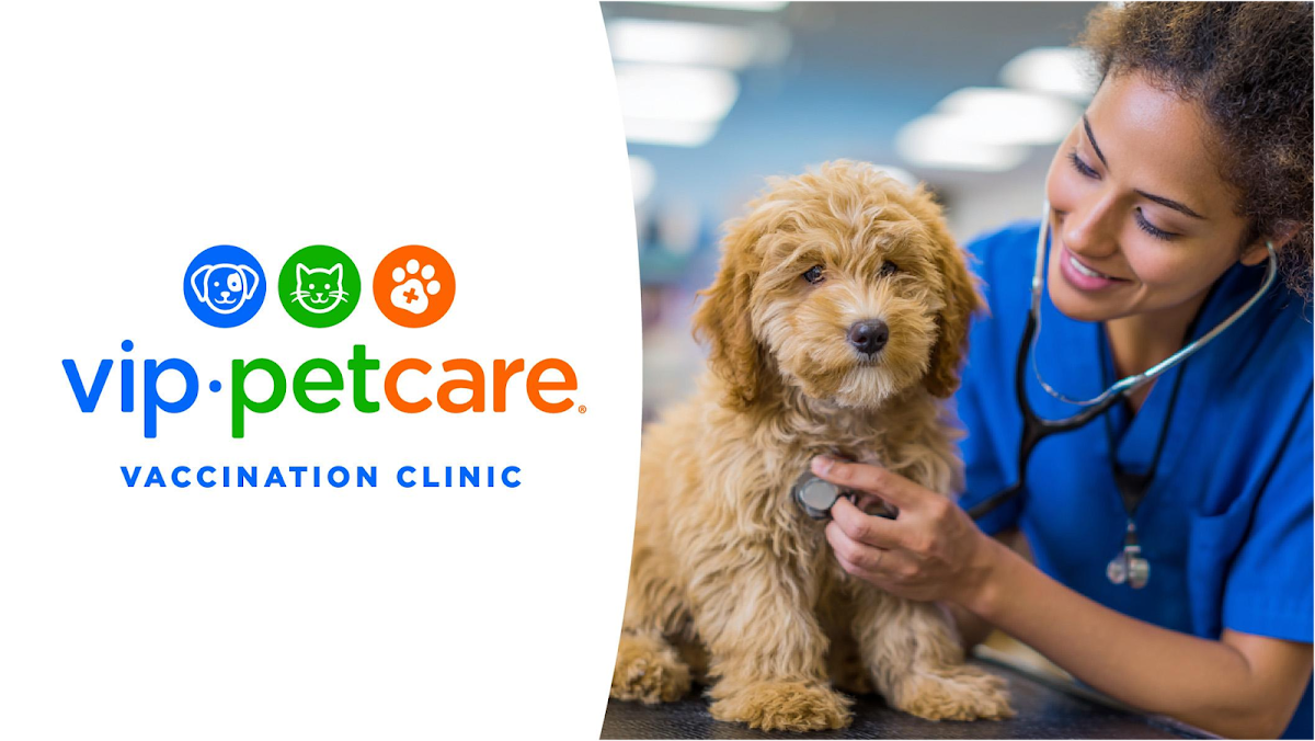 VIP Petcare Vaccination Clinic — Veterinarian in Fremont, CA