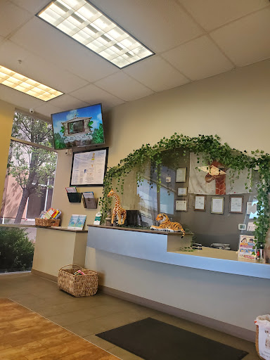 Bay Area Dental Surgery Center — General Dentist in Milpitas, CA