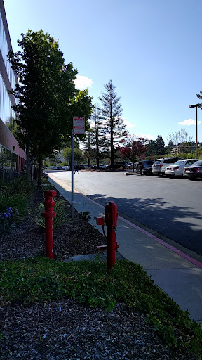 Clarizen — Software Company in Milpitas, CA