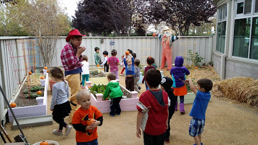 Day Star Montessori School — Preschool in Milpitas, CA