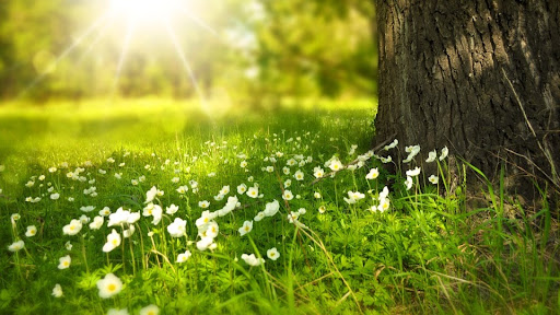 Family Chiropractic and Natural Healing Center — Chiropractor in Milpitas, CA