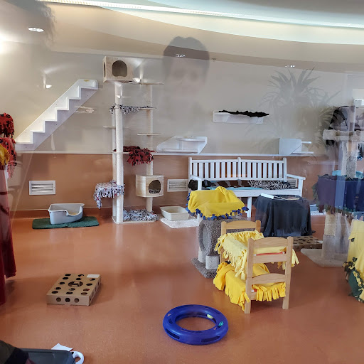 Humane Society Silicon Valley — Nonprofit Organization in Milpitas, CA