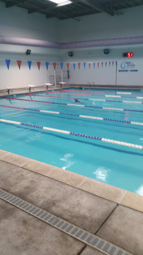 Milpitas Star Aquatics & Fitness — Swimming School in Milpitas, CA