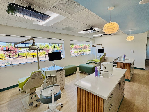 Tiny Tree Smiles Pediatric Dentistry — Pediatric Dentist in Milpitas, CA