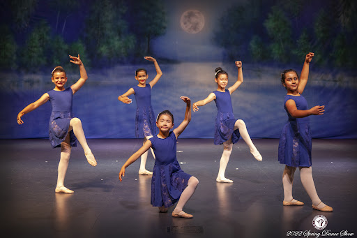 Veksler Academy of Music and Dance — Music School in Milpitas, CA
