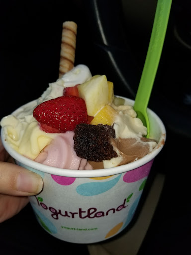 Yogurtland Milpitas — Dessert Shop in Milpitas, CA
