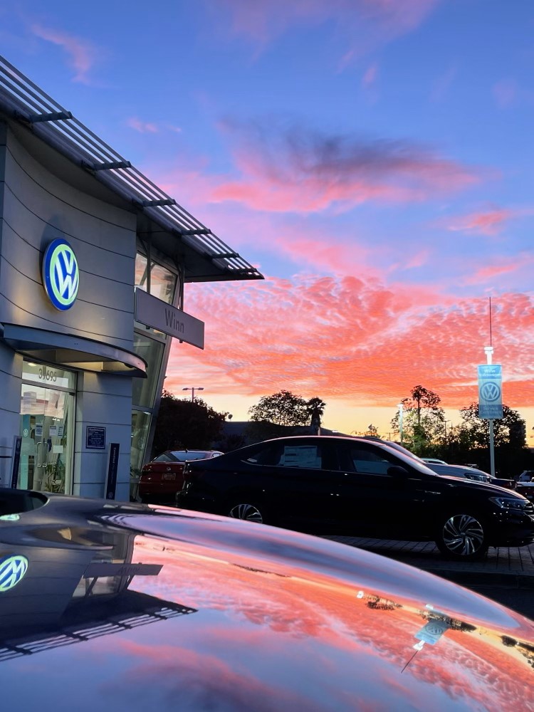 Winn Volkswagen — Auto Repair Shop in Newark, CA
