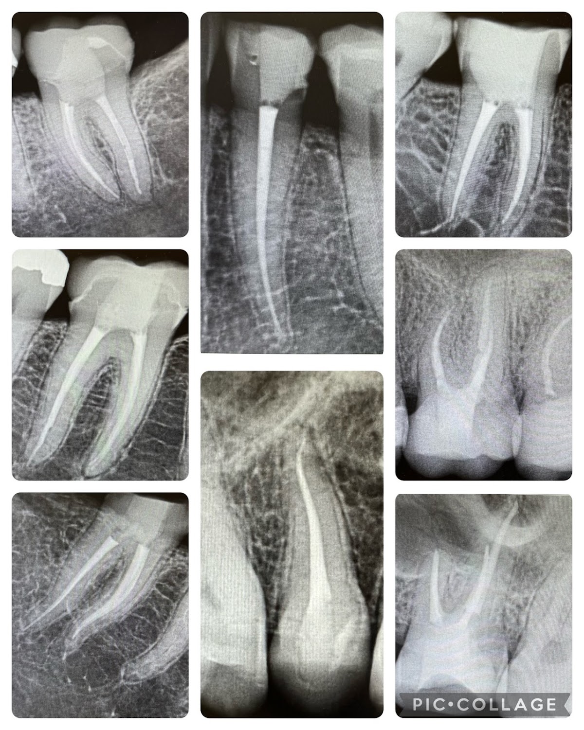 Pearl Dentistry — General Dentist in Salinas, CA (photo 2 of 3)