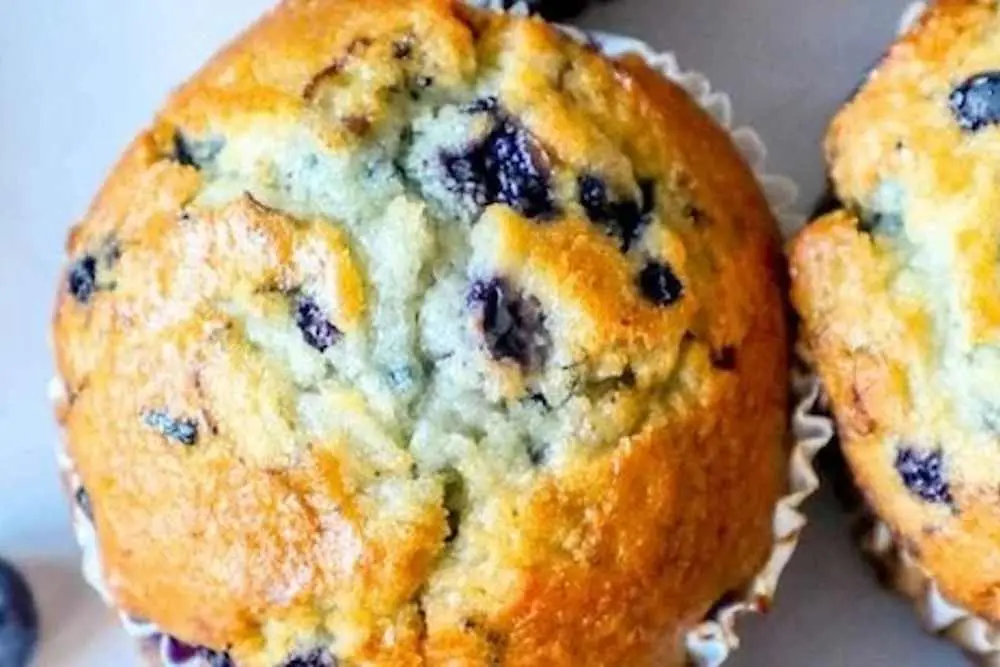 Muffin at Its a Grind Coffee House