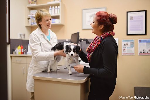 Bishop Ranch Veterinary Center & Urgent Care — Veterinarian in San Ramon, CA