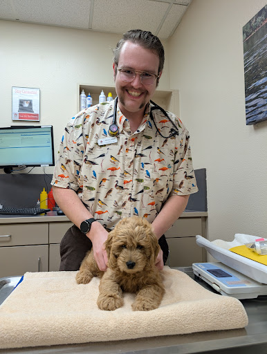 Bishop Ranch Veterinary Center: Weaver Kristel DVM — Veterinarian in San Ramon, CA