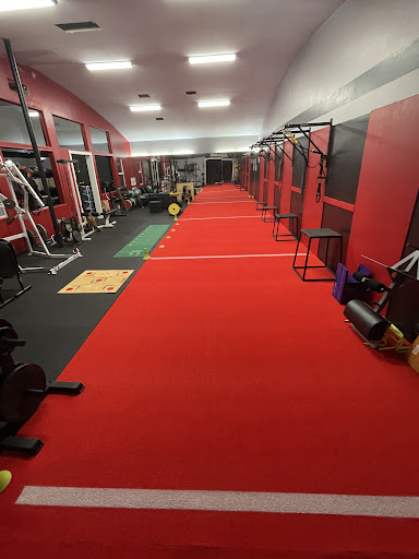 HOLLAND FITNESS & PERFORMANCE TRAINING (Home of THE PROGRAM Sports Training) — Gym in San Ramon, CA