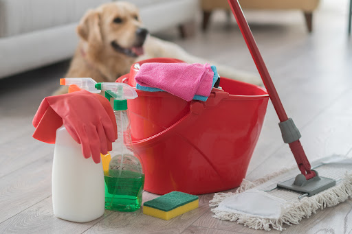 Impeccable Home Cleaning Service — House Cleaning Service in San Ramon, CA