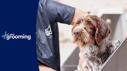 Petco Grooming — Pet Groomer in San Ramon, CA