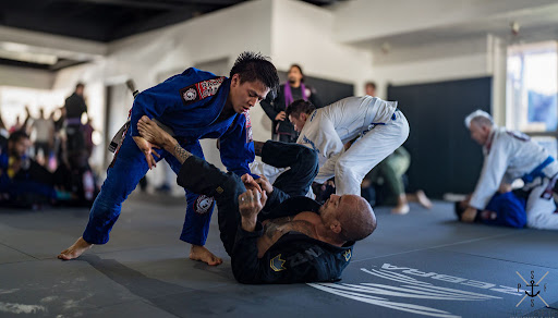 Ralph Gracie Jiu Jitsu Academy San Ramon — Martial Arts School in San Ramon, CA