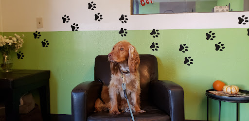 WOOF Dog Daycare & Boarding — Dog Daycare in San Ramon, CA