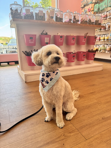 Woof Gang Bakery & Grooming San Ramon — Pet Groomer in San Ramon, CA