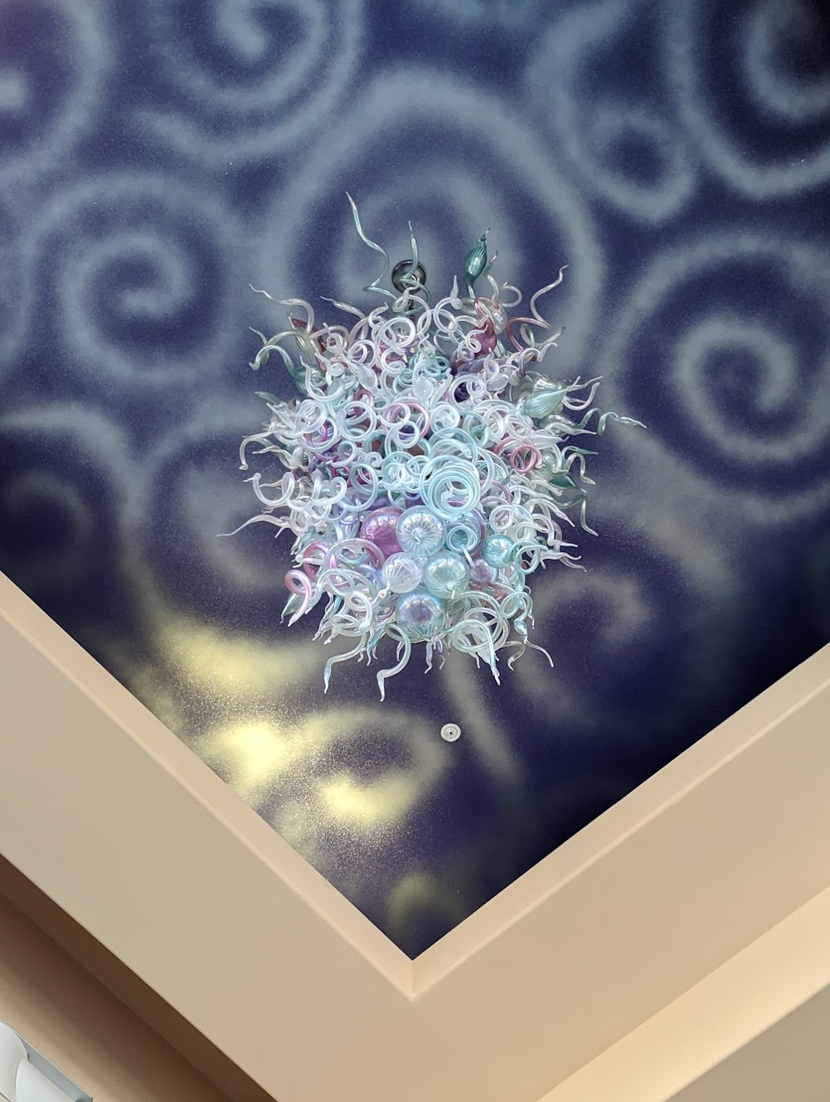 DMG Dental Design — General Dentist in Bothell, WA (photo 3 of 3)